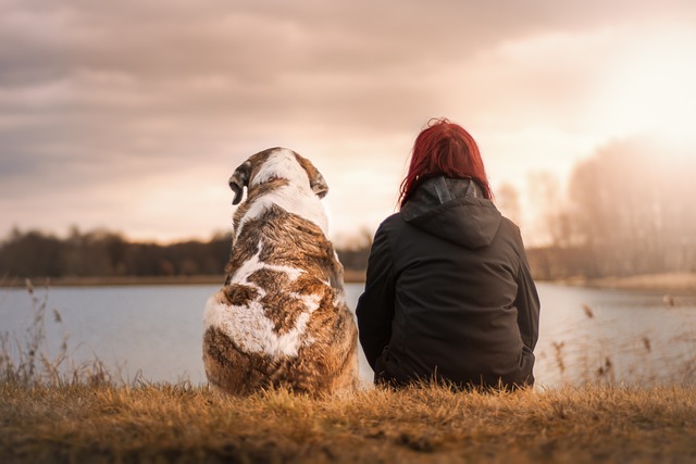 Glucosamine voor honden: De wonderstof voor gewrichtsgezondheid